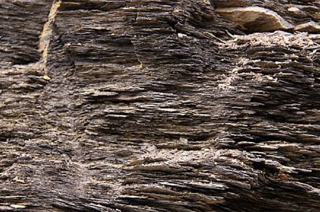 ��퓎r����